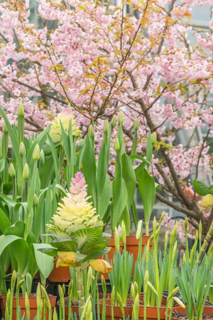 一儿童节活动（持续更新）瓦力游戏2025重庆六